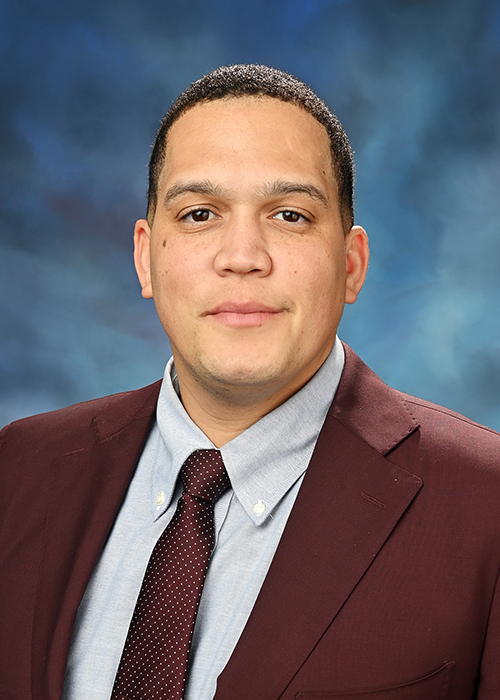 Photograph of  Senator  Robert Peters (D)
